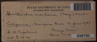 Image Associated With the Occurence
